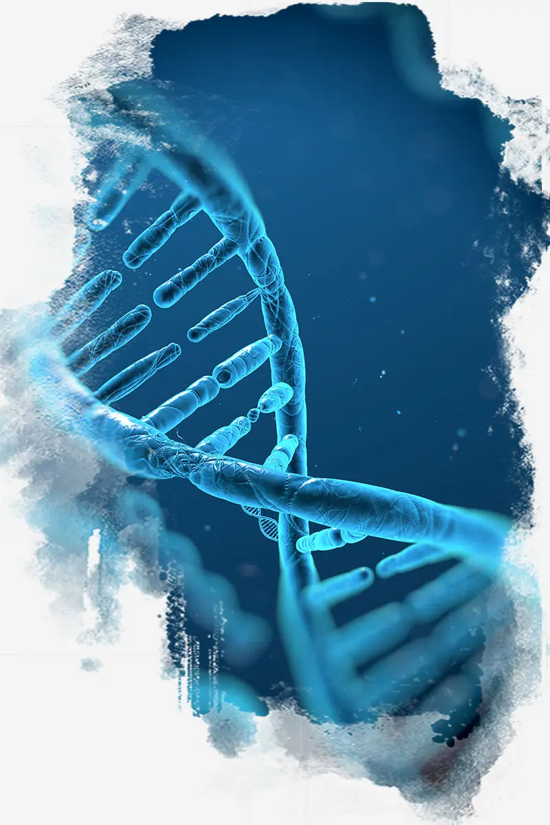 Genetica Test de edad biológica en Madrid